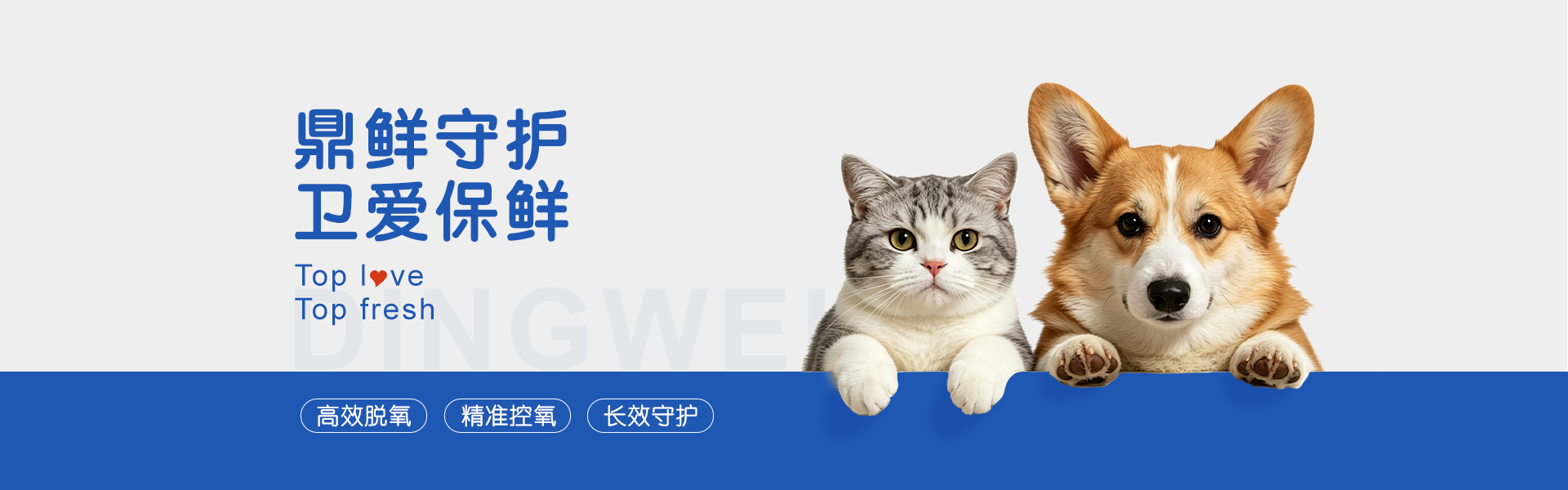 鼎鲜守护，卫爱保鲜